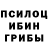 Псилоцибиновые грибы мухоморы Diana Patino