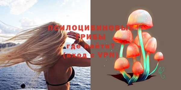 PSILOCYBIN Верхний Тагил