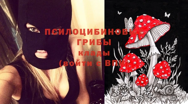 бошки Верхнеуральск