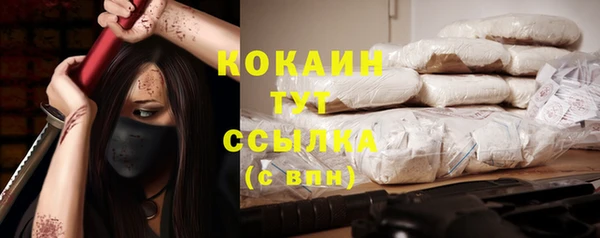 PSILOCYBIN Верхний Тагил