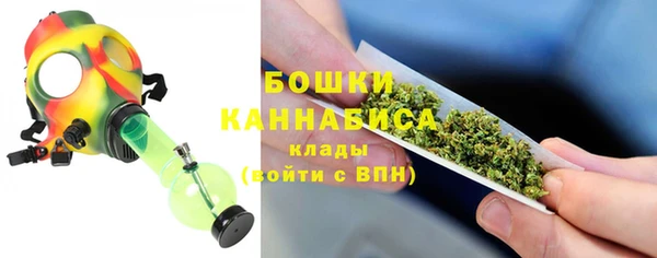 PSILOCYBIN Верхний Тагил
