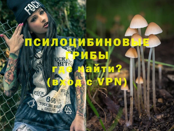 PSILOCYBIN Верхний Тагил