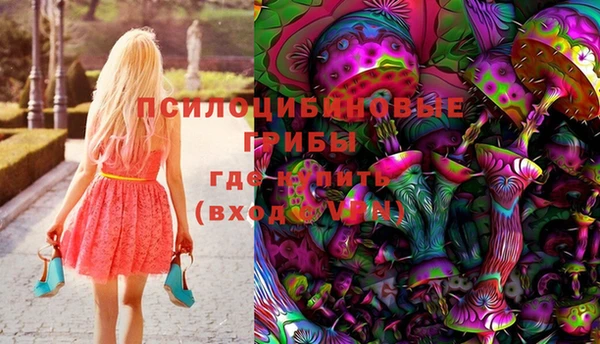PSILOCYBIN Верхний Тагил