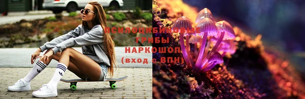 PSILOCYBIN Верхний Тагил